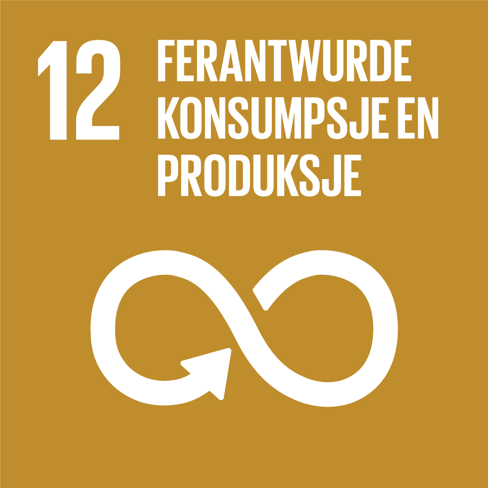 12 verantwoorde consumptie en productie