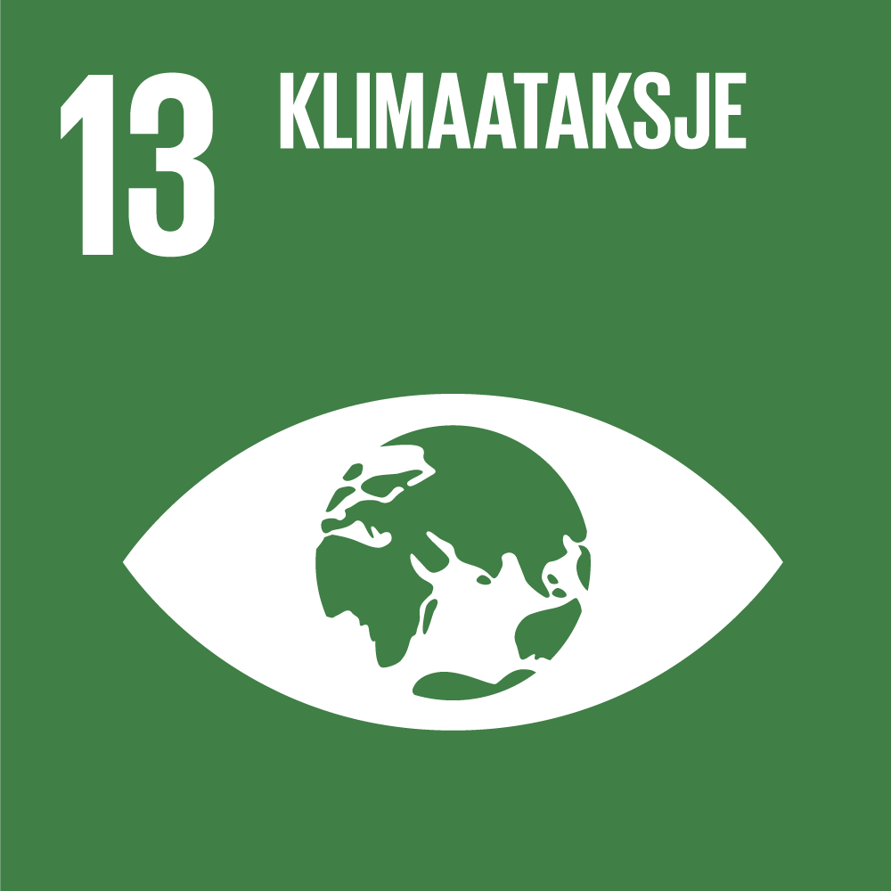 13 klimaatactie