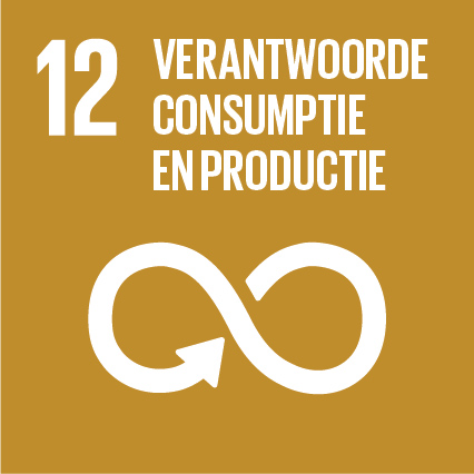 12 verantwoorde consumptie en productie