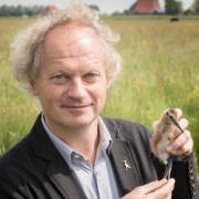 prof. dr. Theunis Piersma